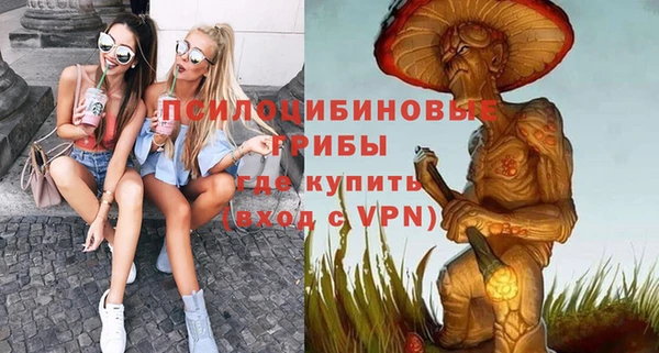 a pvp Алзамай