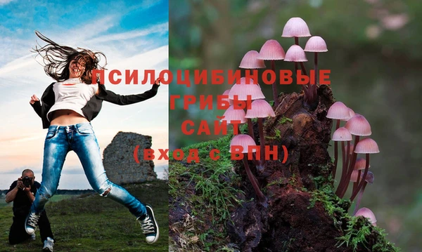 мяу мяу мука Алексин