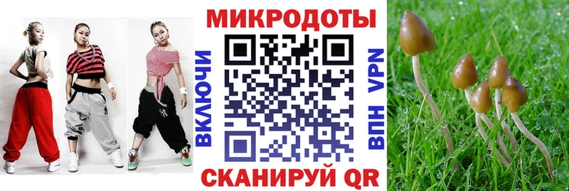 наркошоп  Мензелинск  Галлюциногенные грибы Magic Shrooms 
